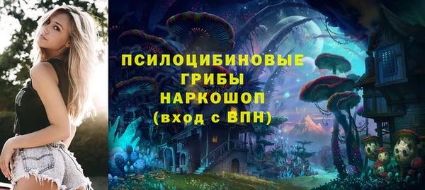 ECSTASY Володарск