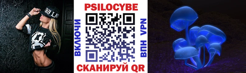 купить сайты OMG сайт Псилоцибиновые грибы Psilocybine cubensis Камышлов